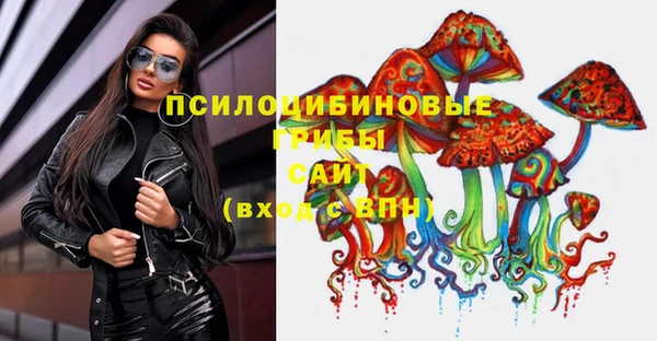сатива Абинск