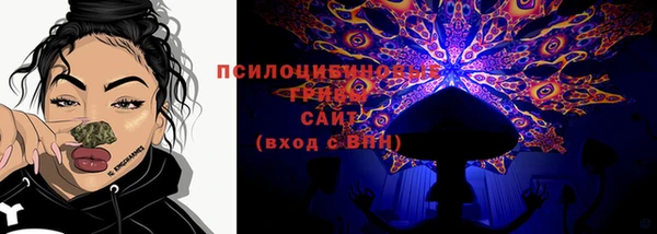 дживик Алексин