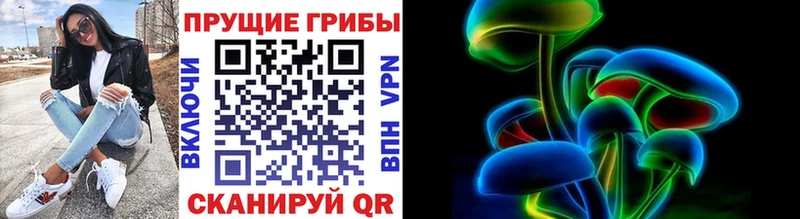 цена   Полтавская  Галлюциногенные грибы Psilocybine cubensis 